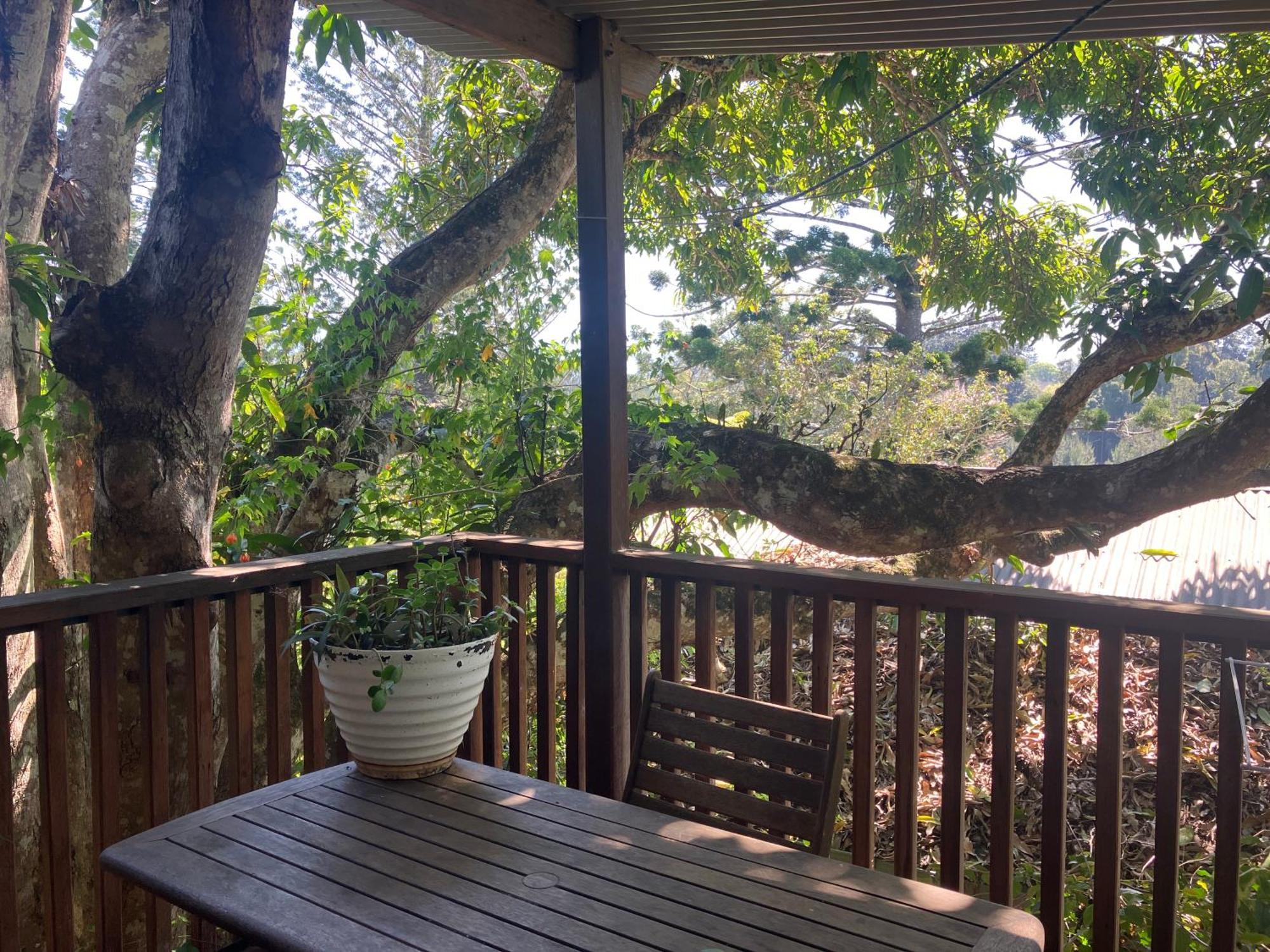 Potters Cottage Bellingen Eksteriør billede